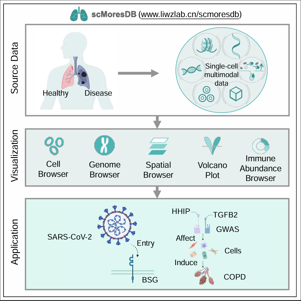 Single-Cell Multi-Omics